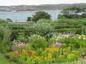 51 - IMG_0545
